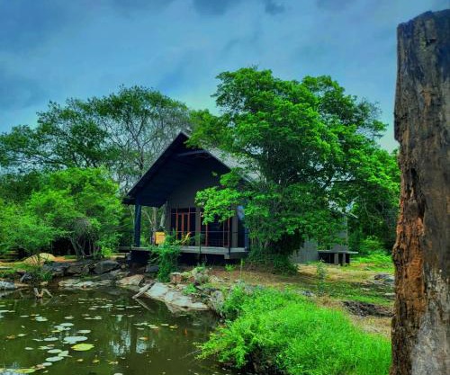 Turtle Pond Wilpattu