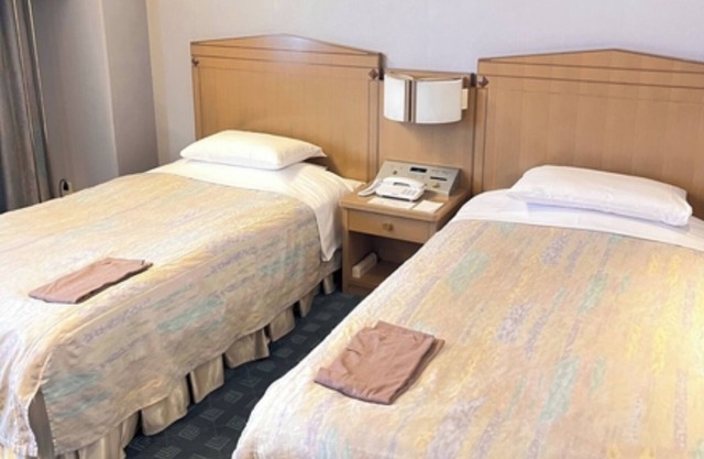 Twin A Nonsmoking room Accommodation only plan / Hanno Saitama