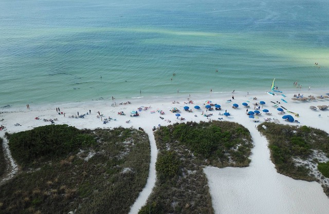 Twin Palms at Siesta