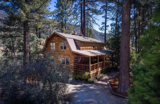 Cabane en rondins authentiques Twin Pines