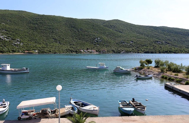 Two bedroom apartment near beach Brijesta, Pelješac (A-10223-a)
