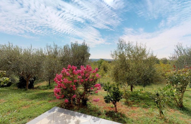 Appartement de deux chambres avec la terrasse Vilanija, Umag (A-17240-a)