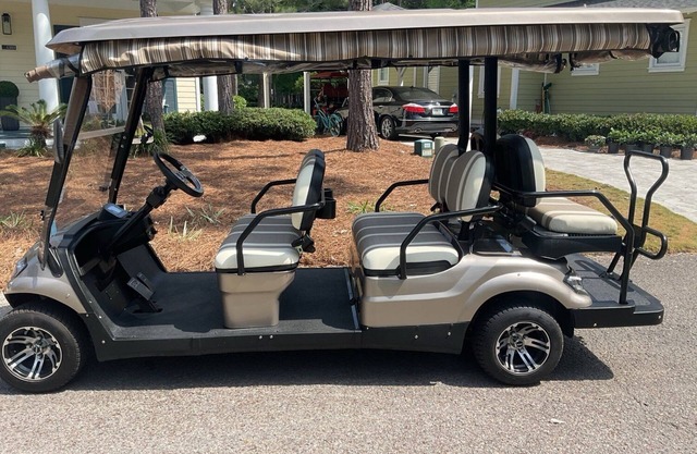 Two Golf Carts ~ Golf Course Views ~ Pet Friendly