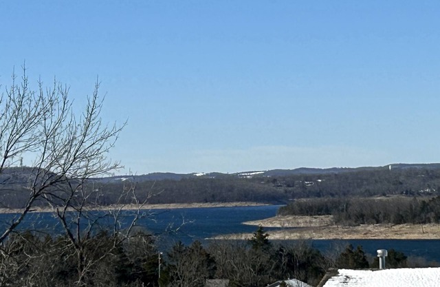 Multiple families can stay together and enjoy a private dock all to themselves.