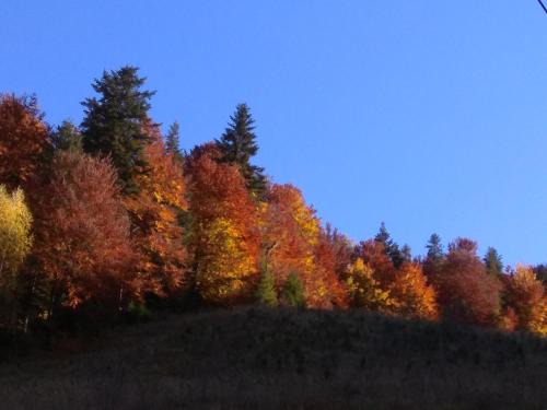 Ubytovanie Poráč