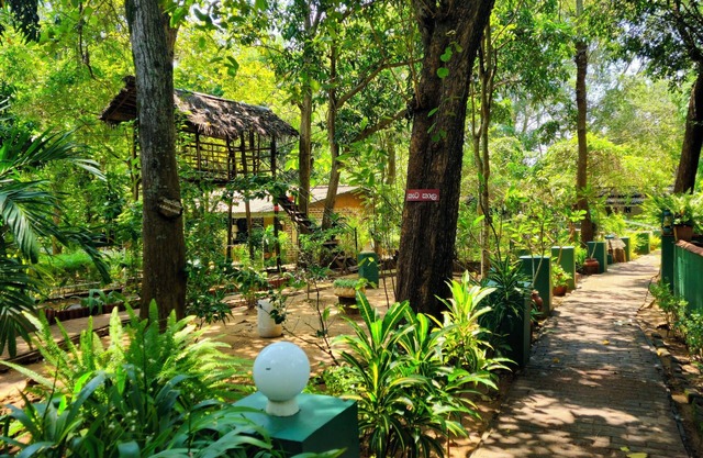 Udawalawe Safari VIllage By Plateeno