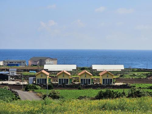 Udo Sunflower Pension