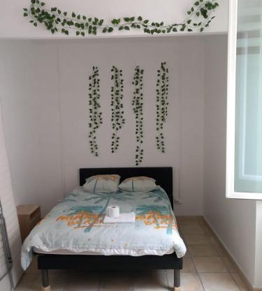 un lit double dans une chambre dans un appartement de 3 chambres en colocation à proximité du centre ville