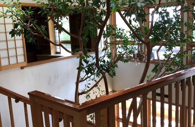 Unique Home, Peaceful, Near Boulder, Dog Friendly