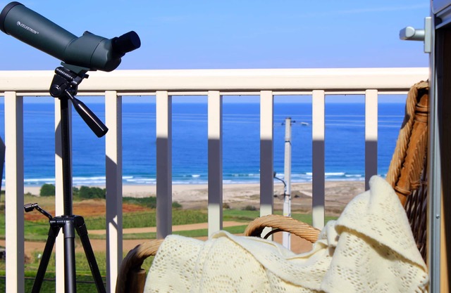 Retraite unique en bord de mer avec une vue fantastique sur l'espace naturel sauvage