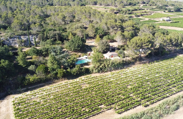 Vue unique sur camp de César & Vignobles - 2 Mazets sur colline -