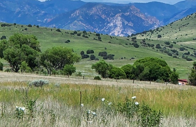 Up Country Ranch House down a quiet lane