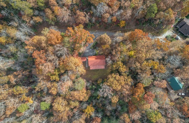 Up North Down South: Secluded Cabin in Lake Lure