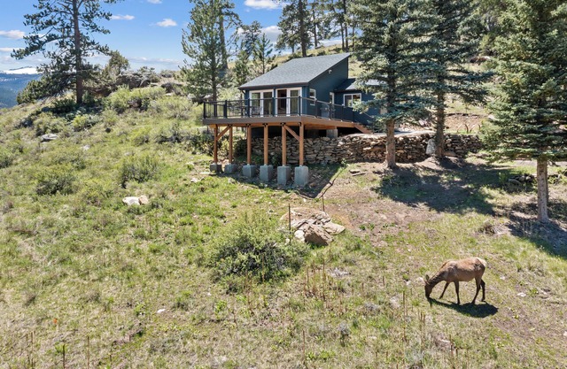 Updated Cabin Getaway Backs to Rocky Mountain Park, Beautiful Views! Adults Only