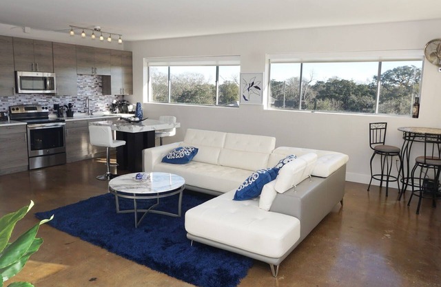 Upscale Downtown Loft with View