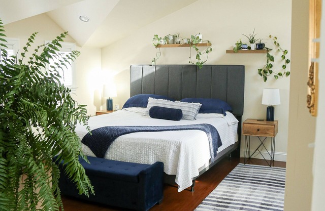 Le Loft à Bird dans la main