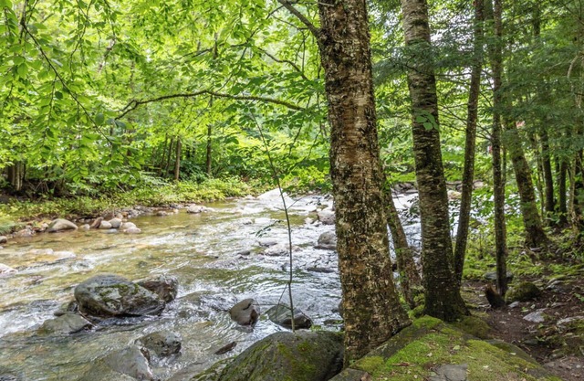 Upscale Vermont Condo off of Mountain Rd