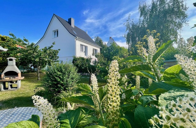 Urlaub auf der Insel Rügen in der Ferienwohnung "lachmöwe"