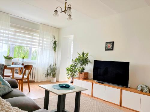 Vabaduse apartment
