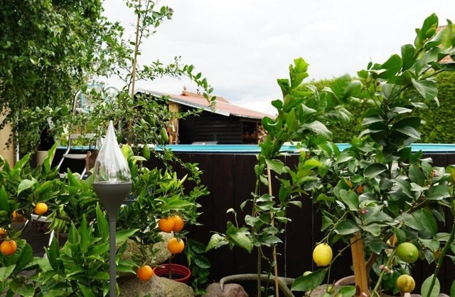 Vacation apartment/apartment for 4 guests with 40m² in Neu Lindenberg (150876)