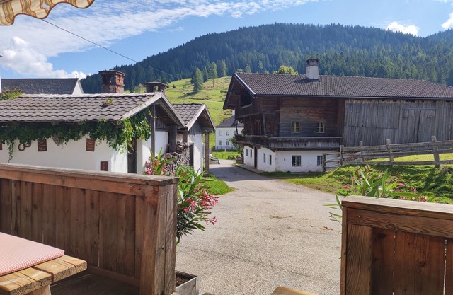 Holiday apartment / app. for 10 guests with 130m² in Thierbach (160598)