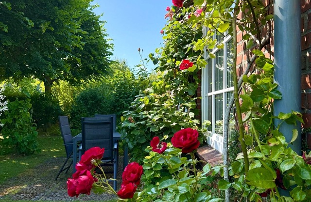 Appartement / app. pour 4 personnes à 60 m² à Oldsum (105444)