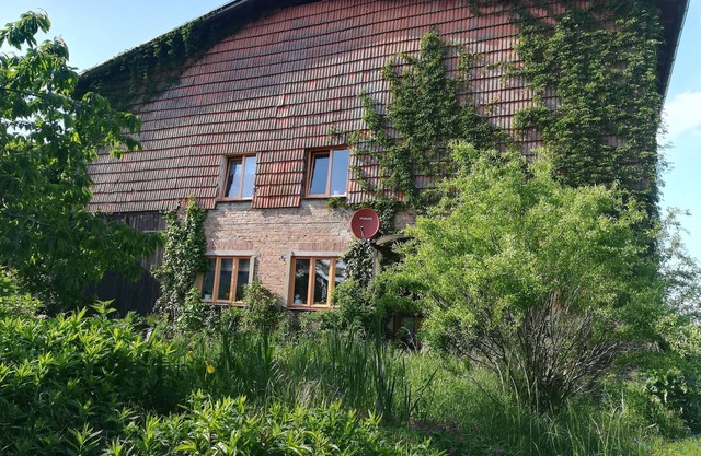 Appartement / app. pour 4 personnes à 40 m² à Dammerstorf (120572)