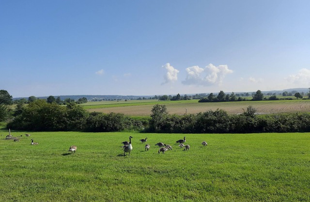 Vacation apartment Weiherblick in a central location to the lakes and beautiful villages!
