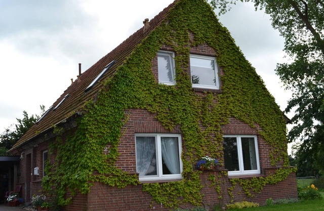 Apartamento / app. para 4 personas con 85m² en Schwanewede (105316)