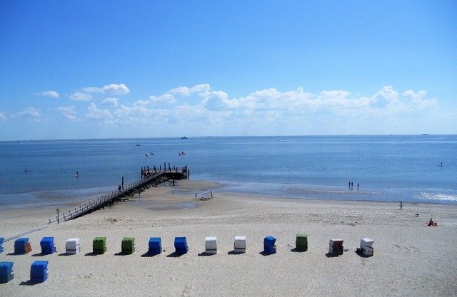 Vacation apartment/apartment for 3 guests with 44m² in Wyk auf Föhr (132132)