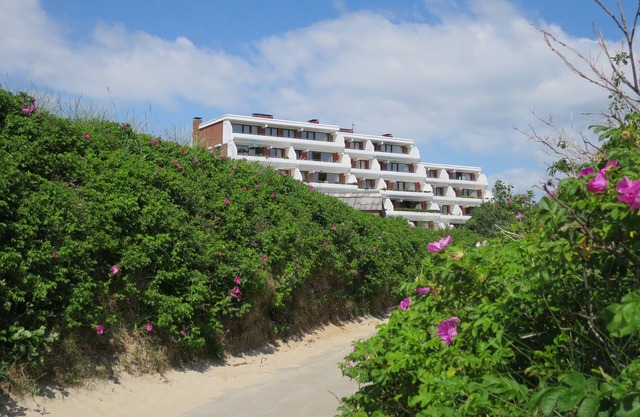 Vacation apartment/apartment for 4 guests with 45m² in Wyk auf Föhr (270828)