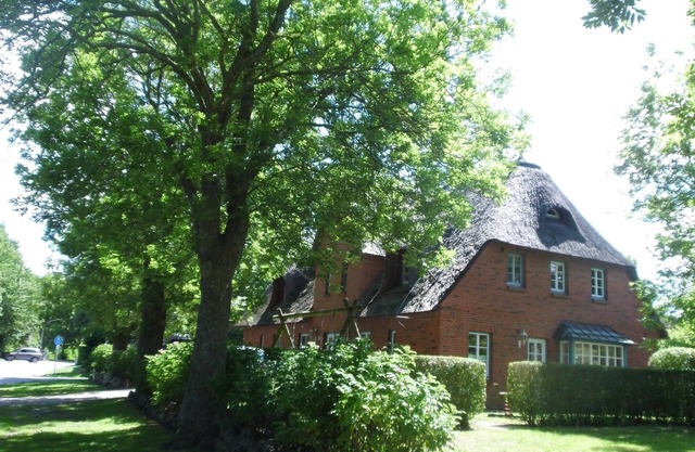 Vacation apartment/apartment for 4 guests with 45m² in Wyk-Boldixum (132100)