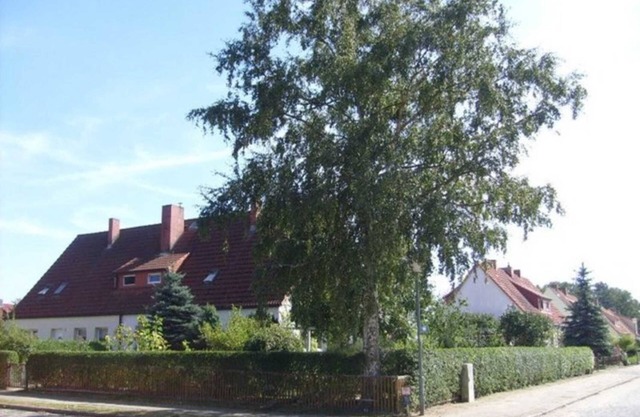 Apartment Mirow (22205) - Appartement