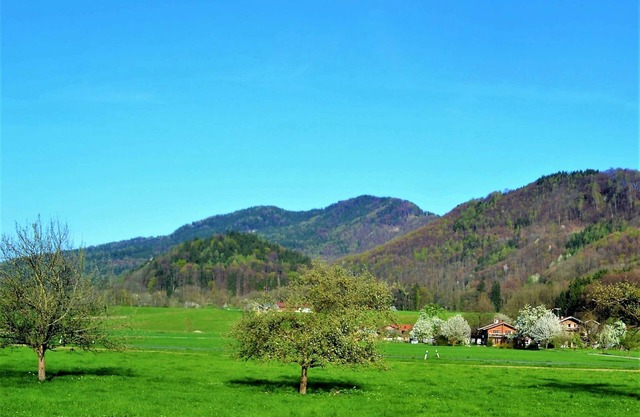 Ferienwohnung Nussbaum - 48m²