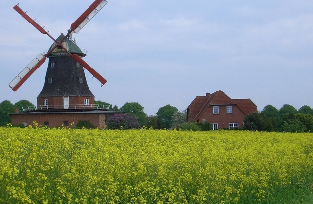 Appartement au moulin