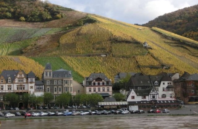 Vacation apartment with wonderful view of the Moselle, wifi, parking, garden.