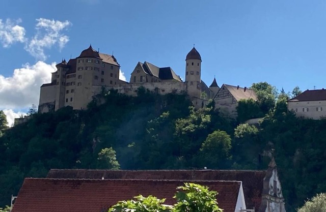 Vacation appartment by the old bridge with a grnd view to the castle