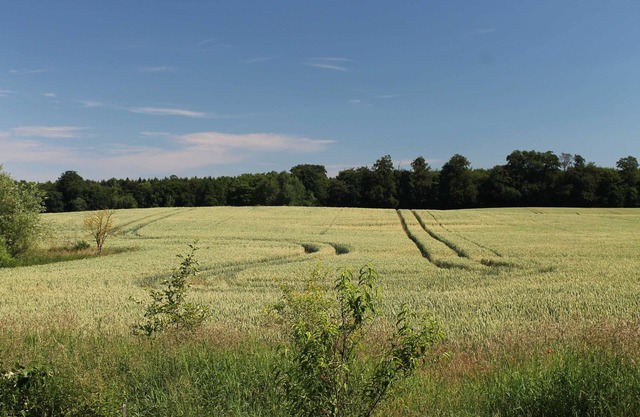 Maison de vacances - vacances sur le terrain de poterie