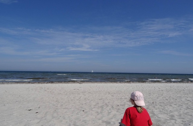 Vacances sous le chaume sur la mer Baltique; WiFi gratuit, Smart TV 3D, cheminée, douche confort,.