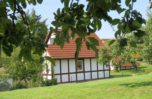 Maison de vacances Scout 60 - pour 5 personnes - animaux autorisés - Maison de vacances Scout 60 dans le village de vacances Altes Land