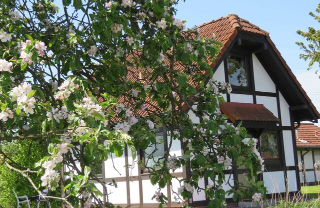 Maison de vacances 171 Deichgraf 65qm jusqu'à 6 personnes avec animal domestique - Vacances Deichgraf 65 dans le village de vacances