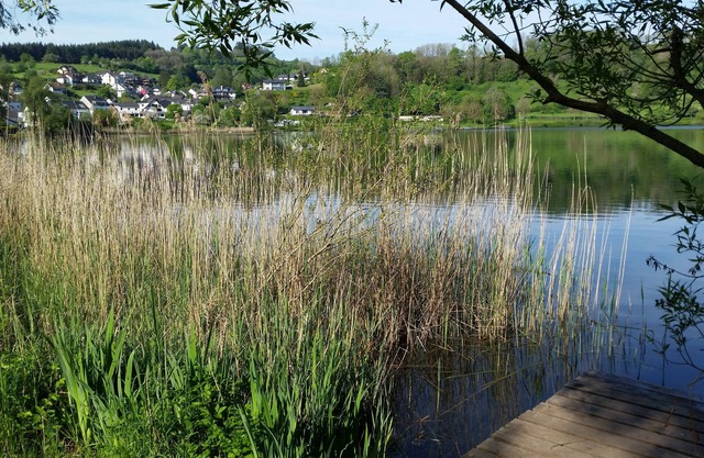 Vacation home Eifelhöhe with Maar panorama