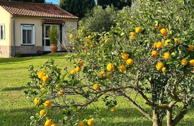 Vacation home for 2 guests with 30m² in Olvera (267494)