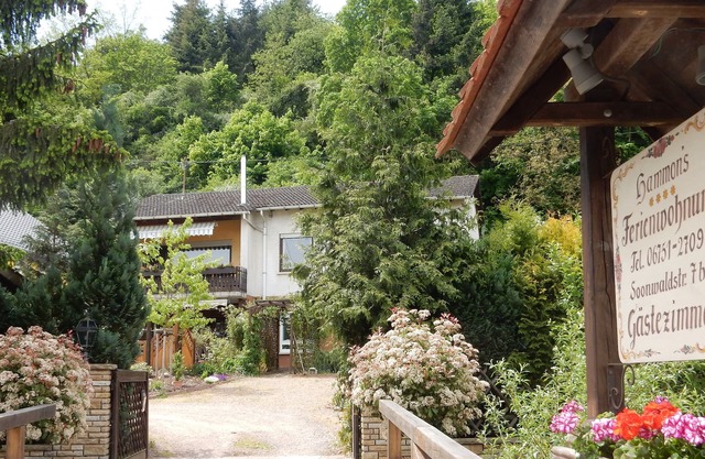 dans le vin Monzingen an der Nahe - 5 km - Bad Sobernheim .. Des vélos gratuits !!!!!!