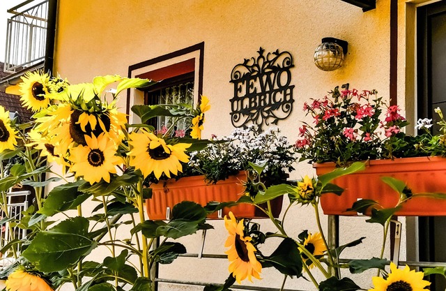 Maison de vacances "Ulbrich" avec terrasse privée, balcon et Wi-Fi