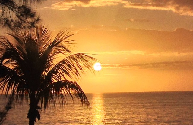 Paradise Vacation At Villa 607