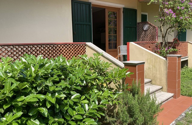Vacation in Versilia, in the pine forest just minutes from Forte dei Marmi