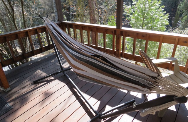 Pine Forest Getaway Vacation