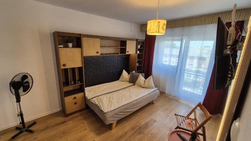 Valentina Studio