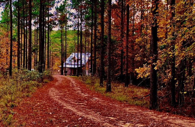 New-Traditional Kentucky LOG Cabin ON RIVER NOUVELLE CONSTRUCTION! Meilleur à Mentone